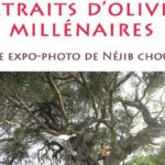 Néjib Chouk expose à la Cité de la Culture “Portraits d’Oliviers Millénaires”