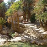 La Tunisie va se doter d’une stratégie interministérielle de contrôle du domaine public hydraulique Oasis