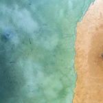 La Tunisie appelée à adopter une approche du genre social pour investir dans l’eau et les changements climatiques