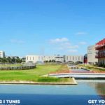 Whale Festival revient les 7 et 8 mai 2022 à la Cité des Sciences de Tunis