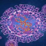 Vaccination contre la variole du singe : Pas nécessaire, estime l’Institut sud-africain des maladies transmissibles