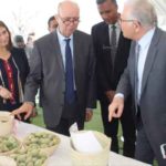 Tunisie : 200 mille hectares supplémentaires pour la culture de l’amandier en Tunisie, promet Elyes Hamza