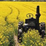 SIAS 2026 : Sidi Bouzid met en avant son potentiel agricole et attire les investisseurs Agriculture