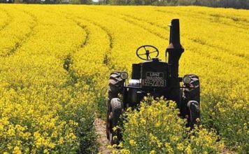 Terres domaniales : la Tunisie mise sur les céréales irriguées et les cultures industrielles Agriculture