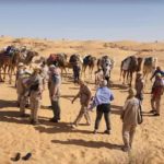 Tozeur : fréquentation touristique en hausse en 2025, avec un taux d’occupation hôtelier de 88 %