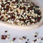 Sidi Bouzid abrite un symposium sur le quinoa
