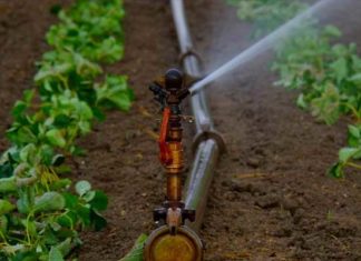 Jendouba accueille IRRIGATECH 2026, vitrine de l’innovation pour une agriculture durable en Tunisie