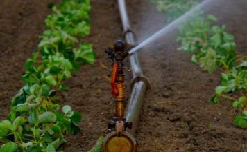 Jendouba accueille IRRIGATECH 2026, vitrine de l’innovation pour une agriculture durable en Tunisie