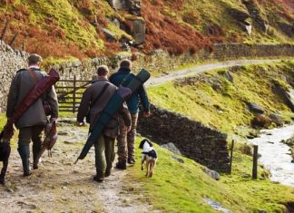 Chasse en Tunisie : une plateforme en ligne pour le paiement des redevances et licences dès la saison 2026/2027 Chasse