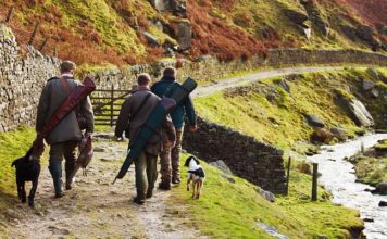 Chasse en Tunisie : une plateforme en ligne pour le paiement des redevances et licences dès la saison 2026/2027 Chasse