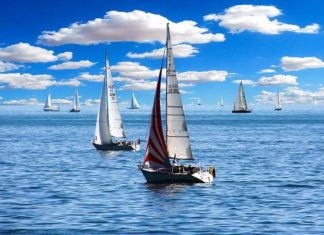 Climat et biodiversité marine : comment la science citoyenne transforme la résilience méditerranéenne nateau