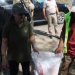 Environnement: Leila Chikhaoui donne le coup d’envoi du “Clean – Up Month” à Sidi Bouzid