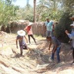 Tozeur : un projet de 45 millions de dinars pour sauver les oasis menacées par le changement climatique