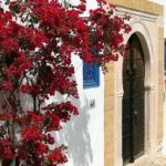 Des villes tunisiennes propres, occasionnellement Tunisie Sidi Bou Said