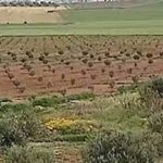 Soutien aux exploitants agricoles : Échelonnement des dettes