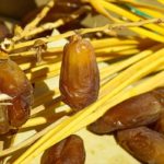 Tunisie : Baisse des exportations de dattes à 771,7 MD à fin juin 2025 Dattes