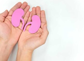 Transplantation en Tunisie : 6 prélèvements et plus de 8 greffes réalisés depuis début 2026