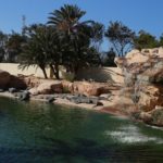 Djerba accueille le camp environnemental des Scouts Tunisiens autour de la gestion durable de l’eau