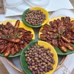 Sfax: Route culinaire Olivier pour les touristes