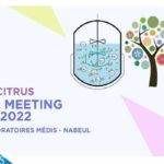 Un exploit scientifique et économique tunisien des Laboratoires MédiS