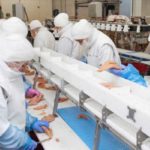 PME agroalimentaires africaines : la Tunisie au cœur de la transition durable