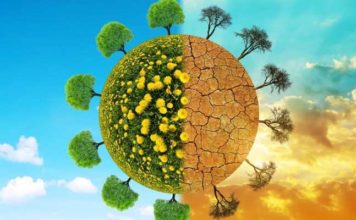 Finance et nature : 7 300 milliards de dollars d’investissements nuisent à l’environnement, selon le PNUE Climat