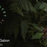 Le Gabon abrite le “One Forest Summit”, les 1er et 2 mars 2023