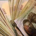 Nigeria : La valeur du naira divisée par 700 depuis sa création, en 1973