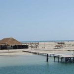 Biodiversité marine à Djerba : 287 000 $ mobilisés pour renforcer la conservation de Ras Rmel