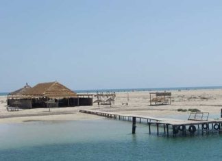 Biodiversité marine à Djerba : 287 000 $ mobilisés pour renforcer la conservation de Ras Rmel