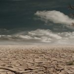 FAO et UMA : vers une stratégie régionale commune contre la sécheresse au Maghreb secheresse