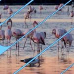 Sfax : Workshop sur “le tourisme durable et écotourisme dans les salines”