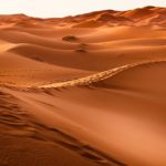 Nabil Ammar s’entretient avec le Haut représentant de la Coalition pour le sahel Desert
