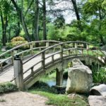 Appel à candidatures pour financer des projets verts dans des pays méditerranéens Nature