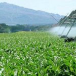 Investissements agricoles : 19,1 MD pour l’aquaculture à Nabeul et les cultures géothermiques à Gabès