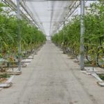 Tunisie : la FAO renforce les capacités des laboratoires pour une gestion durable des sols