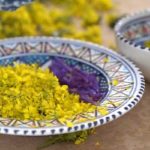 Festival “Je mange tunisien” : Conférence sur les plantes comestibles de Sidi Bouzid et Tataouine