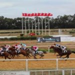 Hippisme : Victoire spectaculaire de Moncef, le cheval des écuries Bechir Hrairi