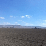 Bizerte : des terres domaniales distribuées aux jeunes agriculteurs et chômeurs diplômés