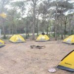 Gabès : lancement des travaux du centre de camping de Zarat pour dynamiser le tourisme de jeunesse