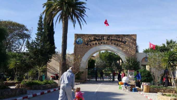 Comité national olympique tunisien célèbre la Journée internationale du sport au Parc Ennahli