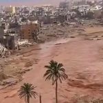 Tunisie : la conférence arabo-africaine appelle à plus de solidarité internationale pour la reconstruction des zones touchées par les catastrophes catastrophes naturelles