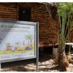 Un camping 100% écologique ouvre ses portes à Tozeur huile