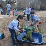 Fête nationale de l’Arbre : les Scouts tunisiens entament la plantation d’arbres au Parc Ennahli