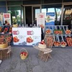 Semaine de la grenade du 17 au 19 novembre à Tunis