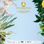 Lancement d’une plateforme de partage tuniso-italienne pour la protection des cultures arboricoles méditerranéennes