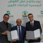 BNA : 60% des crédits agricoles pour les petits agriculteurs