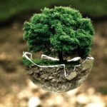 La jeunesse africaine mise à l’honneur pour ses solutions innovantes face au changement climatique Technologie Verte