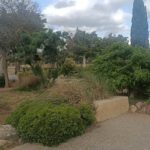 Campagne de nettoyage « VILLES Propres TUNISIE » au jardin japonais de Tunis
