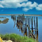 Tunisie–Algérie : un plan d’action conjoint pour protéger les zones humides et la biodiversité